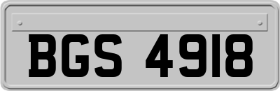 BGS4918