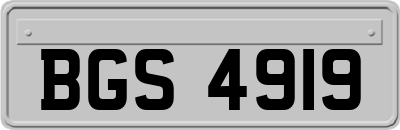 BGS4919