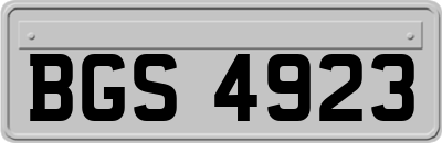BGS4923