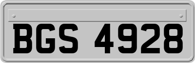 BGS4928