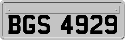 BGS4929
