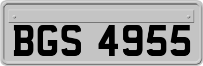 BGS4955