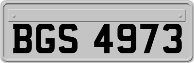 BGS4973