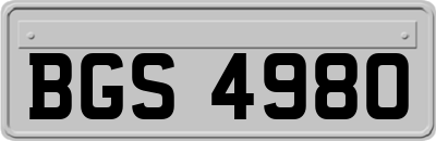 BGS4980