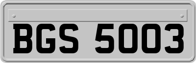 BGS5003