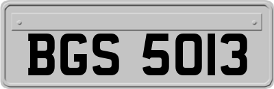BGS5013