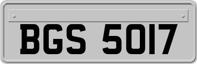 BGS5017