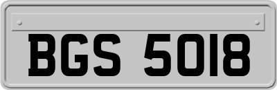 BGS5018