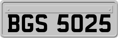 BGS5025