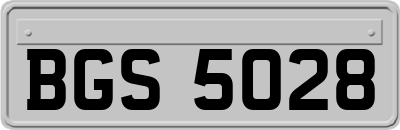 BGS5028
