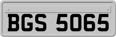 BGS5065