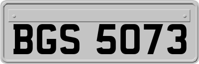 BGS5073