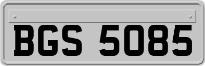 BGS5085
