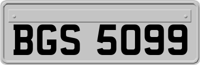 BGS5099