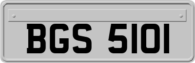 BGS5101