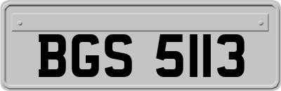 BGS5113