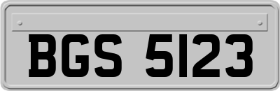 BGS5123