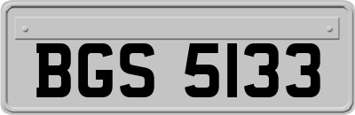 BGS5133