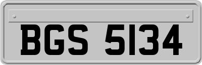 BGS5134