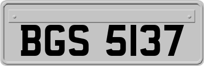 BGS5137