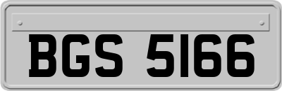 BGS5166