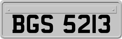 BGS5213