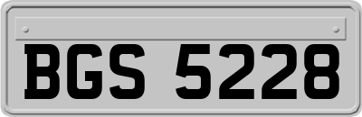 BGS5228