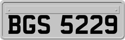 BGS5229