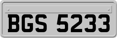 BGS5233