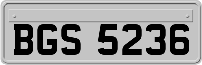 BGS5236