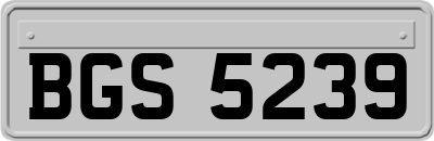 BGS5239