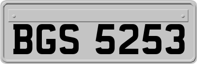BGS5253