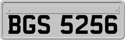 BGS5256