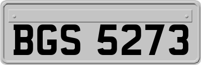 BGS5273
