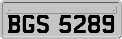 BGS5289