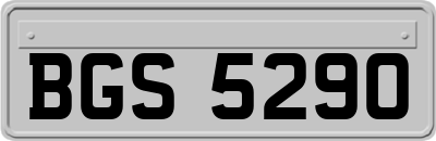 BGS5290