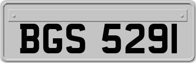 BGS5291
