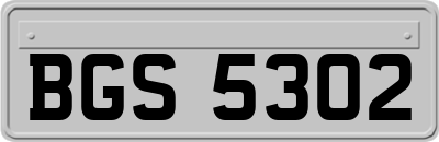 BGS5302