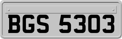 BGS5303