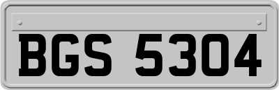 BGS5304