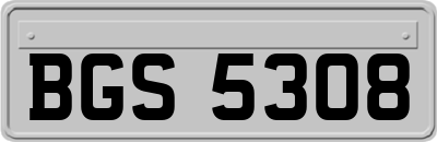 BGS5308
