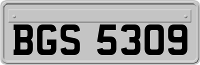 BGS5309