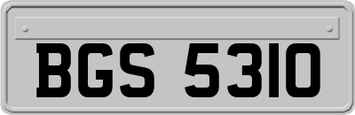 BGS5310