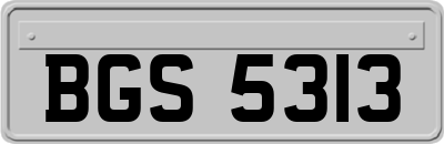 BGS5313