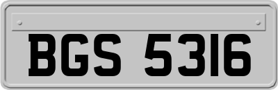 BGS5316