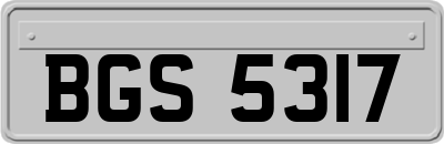 BGS5317