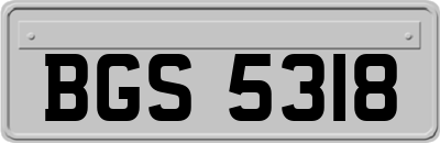 BGS5318