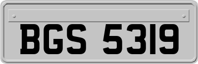 BGS5319