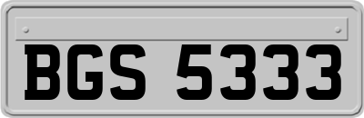 BGS5333
