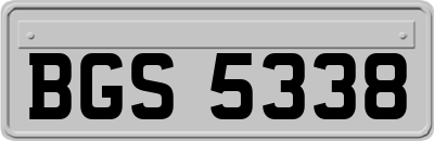 BGS5338